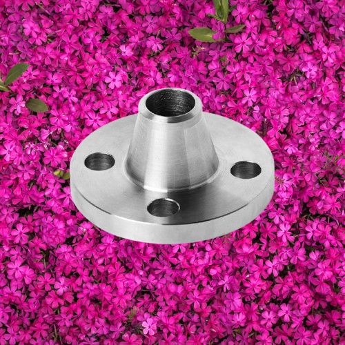 texas weld flanges from China flange suppliers (WN)